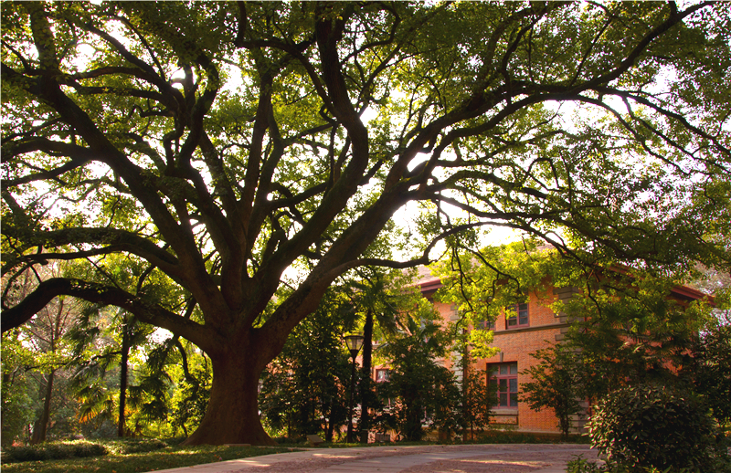 浙江大学光华法学院图书馆